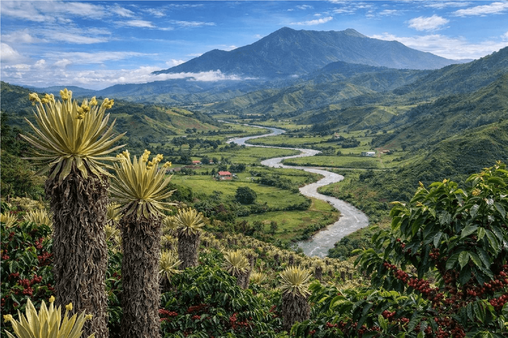 Sunrise over the high-altitude coffee valley of Urrao, Antioquia